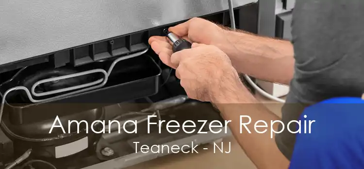 Amana Freezer Repair Teaneck - NJ