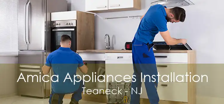 Amica Appliances Installation Teaneck - NJ