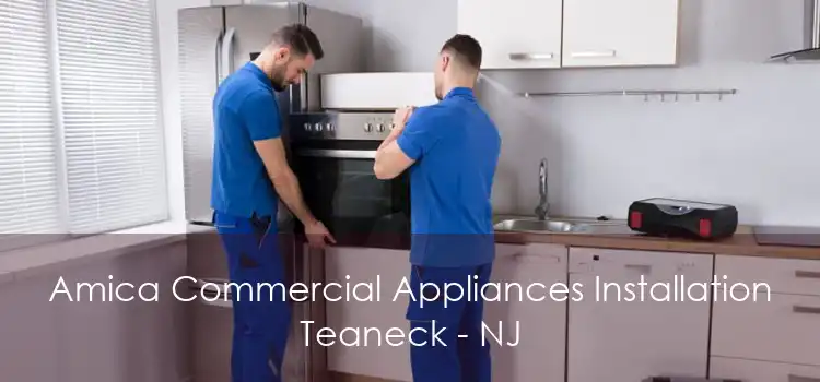 Amica Commercial Appliances Installation Teaneck - NJ