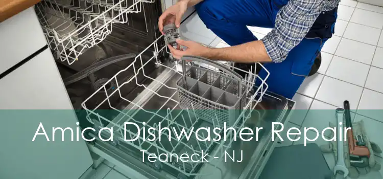 Amica Dishwasher Repair Teaneck - NJ
