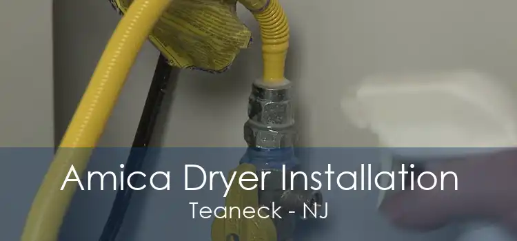 Amica Dryer Installation Teaneck - NJ