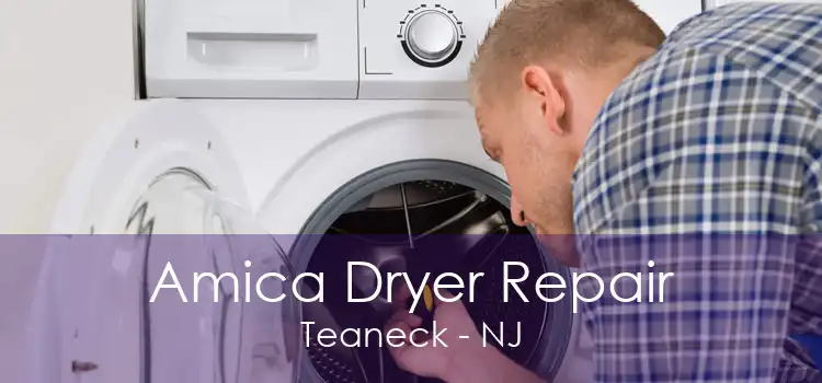 Amica Dryer Repair Teaneck - NJ