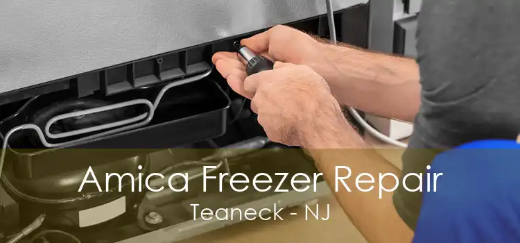 Amica Freezer Repair Teaneck - NJ