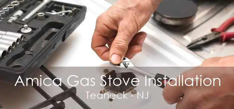 Amica Gas Stove Installation Teaneck - NJ