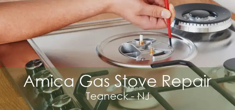 Amica Gas Stove Repair Teaneck - NJ