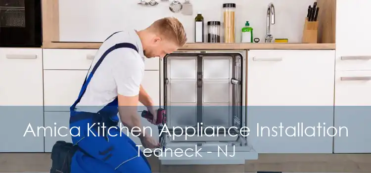Amica Kitchen Appliance Installation Teaneck - NJ