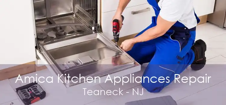 Amica Kitchen Appliances Repair Teaneck - NJ
