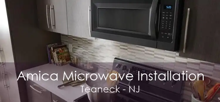 Amica Microwave Installation Teaneck - NJ