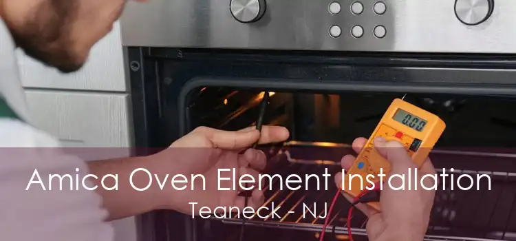 Amica Oven Element Installation Teaneck - NJ