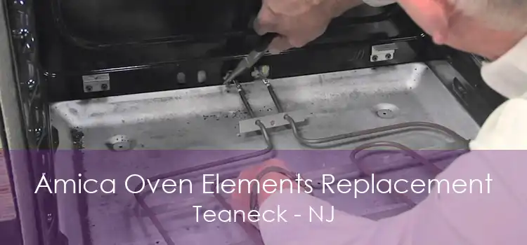 Amica Oven Elements Replacement Teaneck - NJ