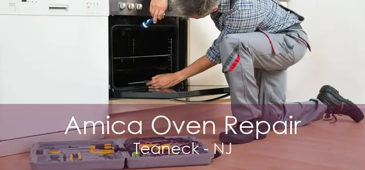Amica Oven Repair Teaneck - NJ