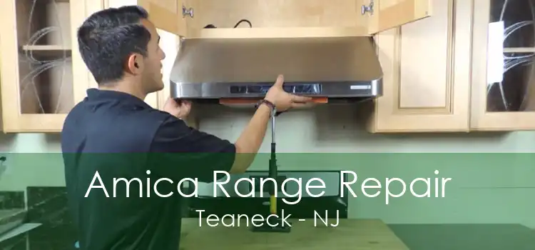 Amica Range Repair Teaneck - NJ
