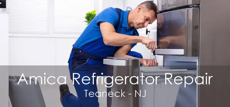 Amica Refrigerator Repair Teaneck - NJ