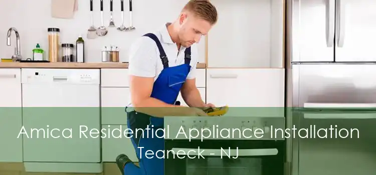 Amica Residential Appliance Installation Teaneck - NJ