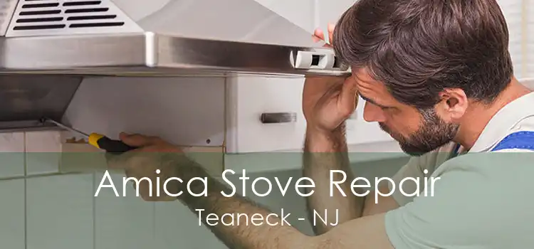 Amica Stove Repair Teaneck - NJ