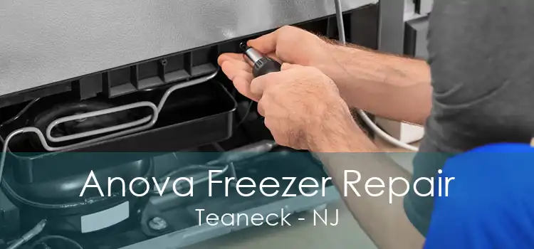 Anova Freezer Repair Teaneck - NJ