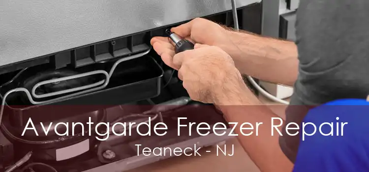 Avantgarde Freezer Repair Teaneck - NJ