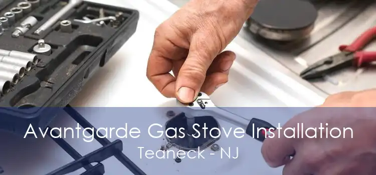 Avantgarde Gas Stove Installation Teaneck - NJ