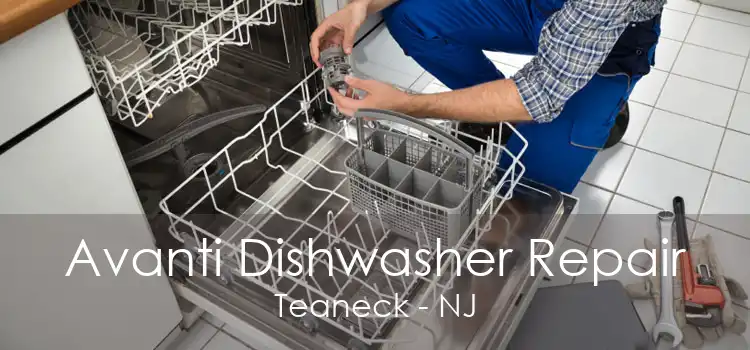 Avanti Dishwasher Repair Teaneck - NJ