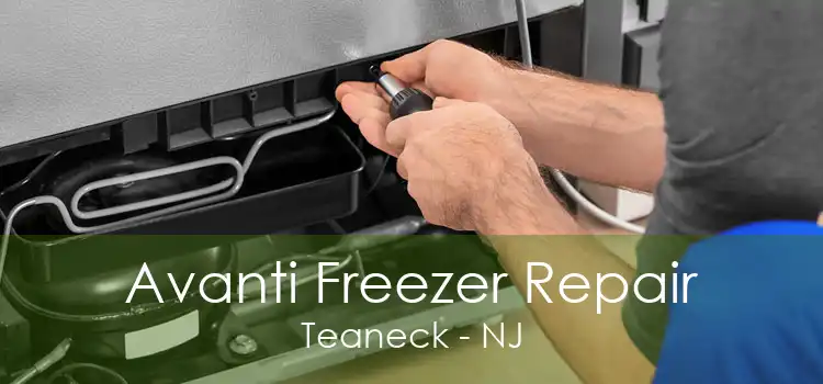 Avanti Freezer Repair Teaneck - NJ