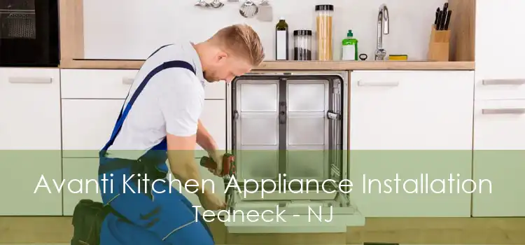 Avanti Kitchen Appliance Installation Teaneck - NJ