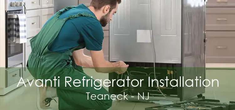 Avanti Refrigerator Installation Teaneck - NJ