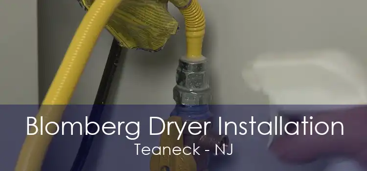 Blomberg Dryer Installation Teaneck - NJ