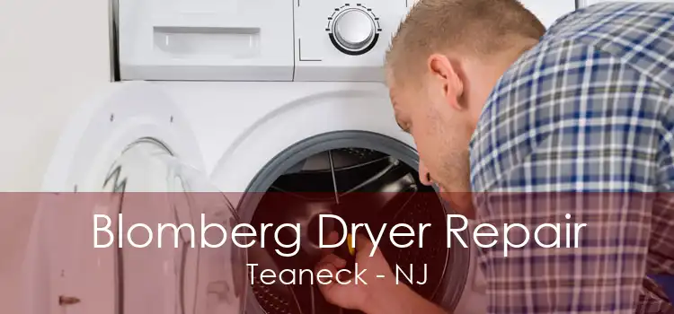 Blomberg Dryer Repair Teaneck - NJ