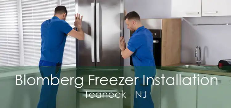 Blomberg Freezer Installation Teaneck - NJ