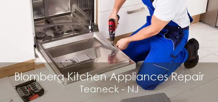 Blomberg Kitchen Appliances Repair Teaneck - NJ