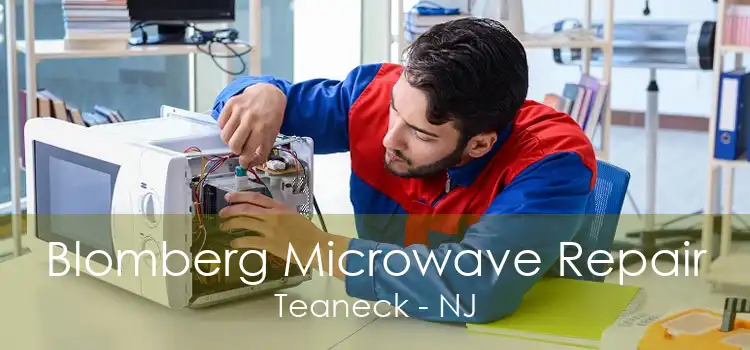 Blomberg Microwave Repair Teaneck - NJ