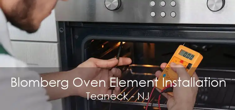 Blomberg Oven Element Installation Teaneck - NJ