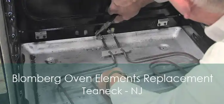 Blomberg Oven Elements Replacement Teaneck - NJ