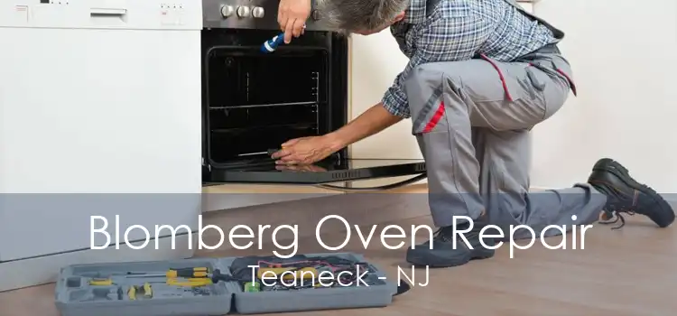 Blomberg Oven Repair Teaneck - NJ
