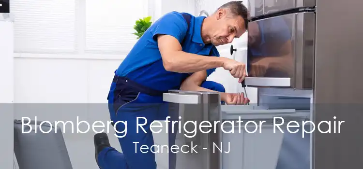 Blomberg Refrigerator Repair Teaneck - NJ
