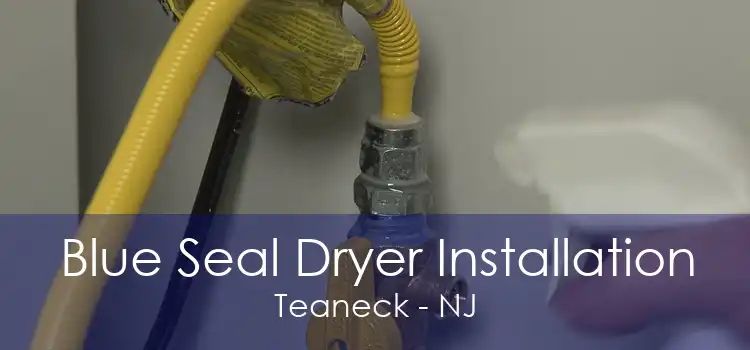 Blue Seal Dryer Installation Teaneck - NJ