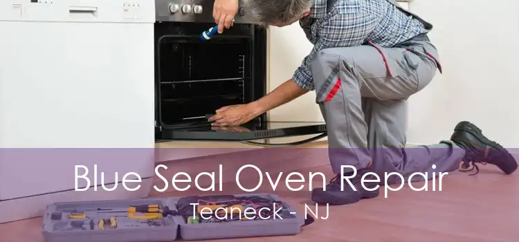 Blue Seal Oven Repair Teaneck - NJ