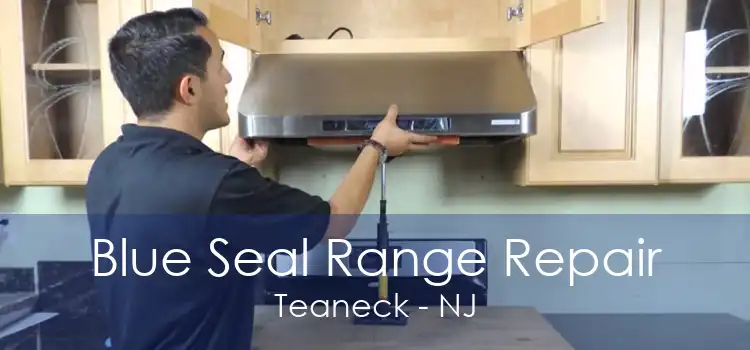Blue Seal Range Repair Teaneck - NJ