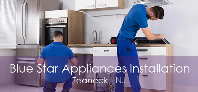 Blue Star Appliances Installation Teaneck - NJ