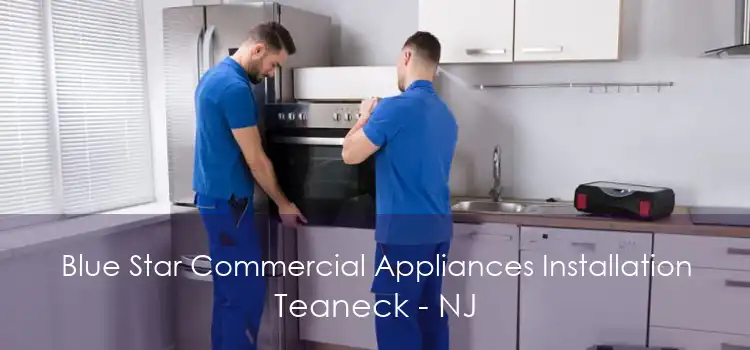 Blue Star Commercial Appliances Installation Teaneck - NJ