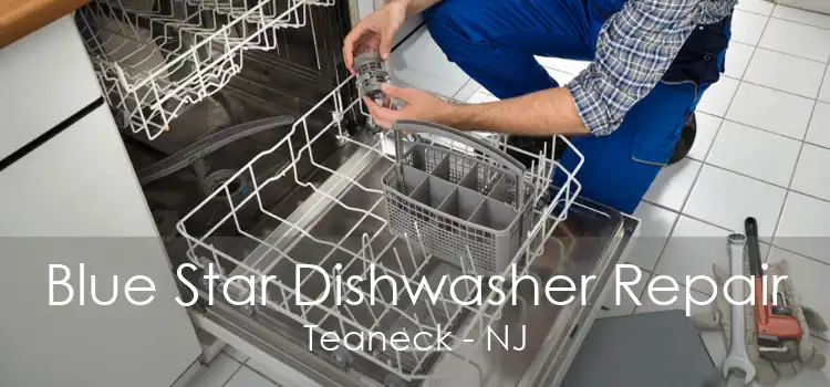 Blue Star Dishwasher Repair Teaneck - NJ