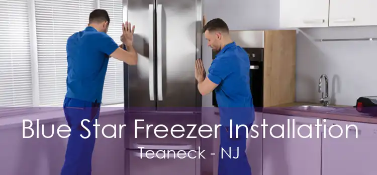 Blue Star Freezer Installation Teaneck - NJ