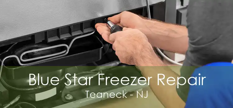 Blue Star Freezer Repair Teaneck - NJ