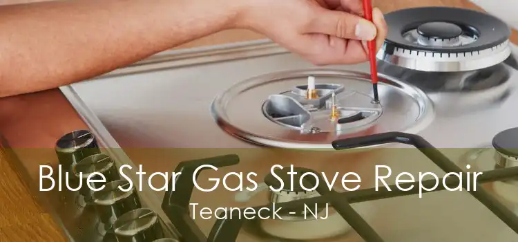 Blue Star Gas Stove Repair Teaneck - NJ
