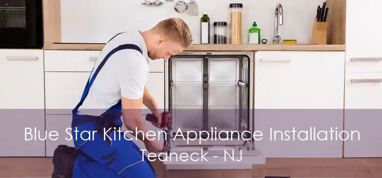 Blue Star Kitchen Appliance Installation Teaneck - NJ