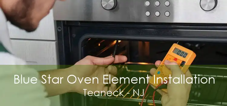 Blue Star Oven Element Installation Teaneck - NJ