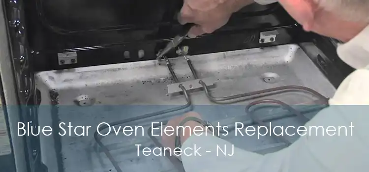 Blue Star Oven Elements Replacement Teaneck - NJ