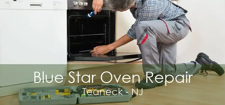Blue Star Oven Repair Teaneck - NJ