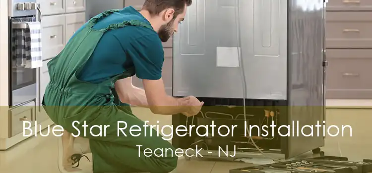Blue Star Refrigerator Installation Teaneck - NJ