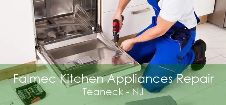 Falmec Kitchen Appliances Repair Teaneck - NJ